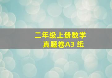 二年级上册数学真题卷A3 纸